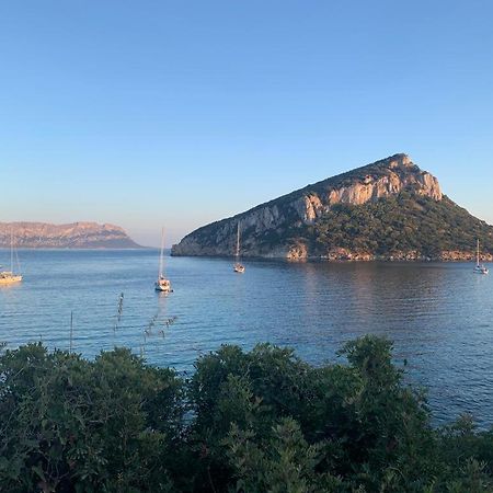 Appartamenti Le Primule Golfo Aranci Bagian luar foto