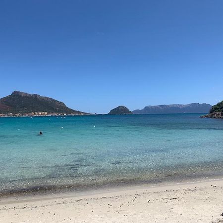 Appartamenti Le Primule Golfo Aranci Bagian luar foto
