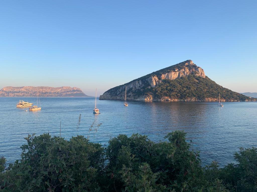 Appartamenti Le Primule Golfo Aranci Bagian luar foto