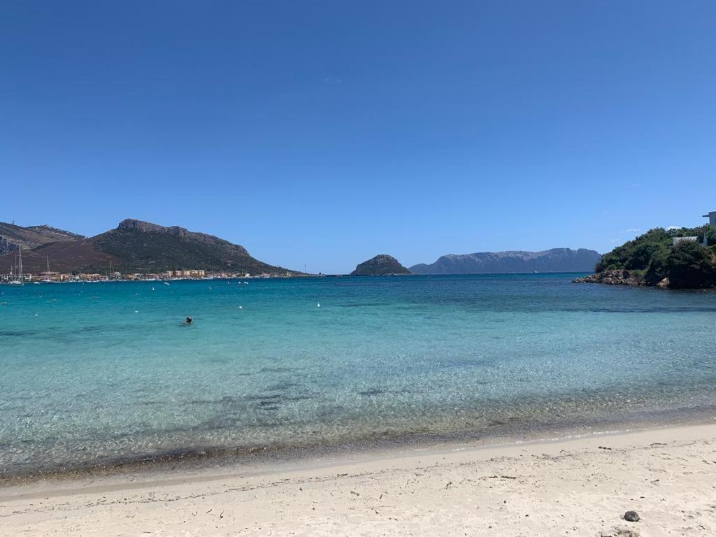 Appartamenti Le Primule Golfo Aranci Bagian luar foto